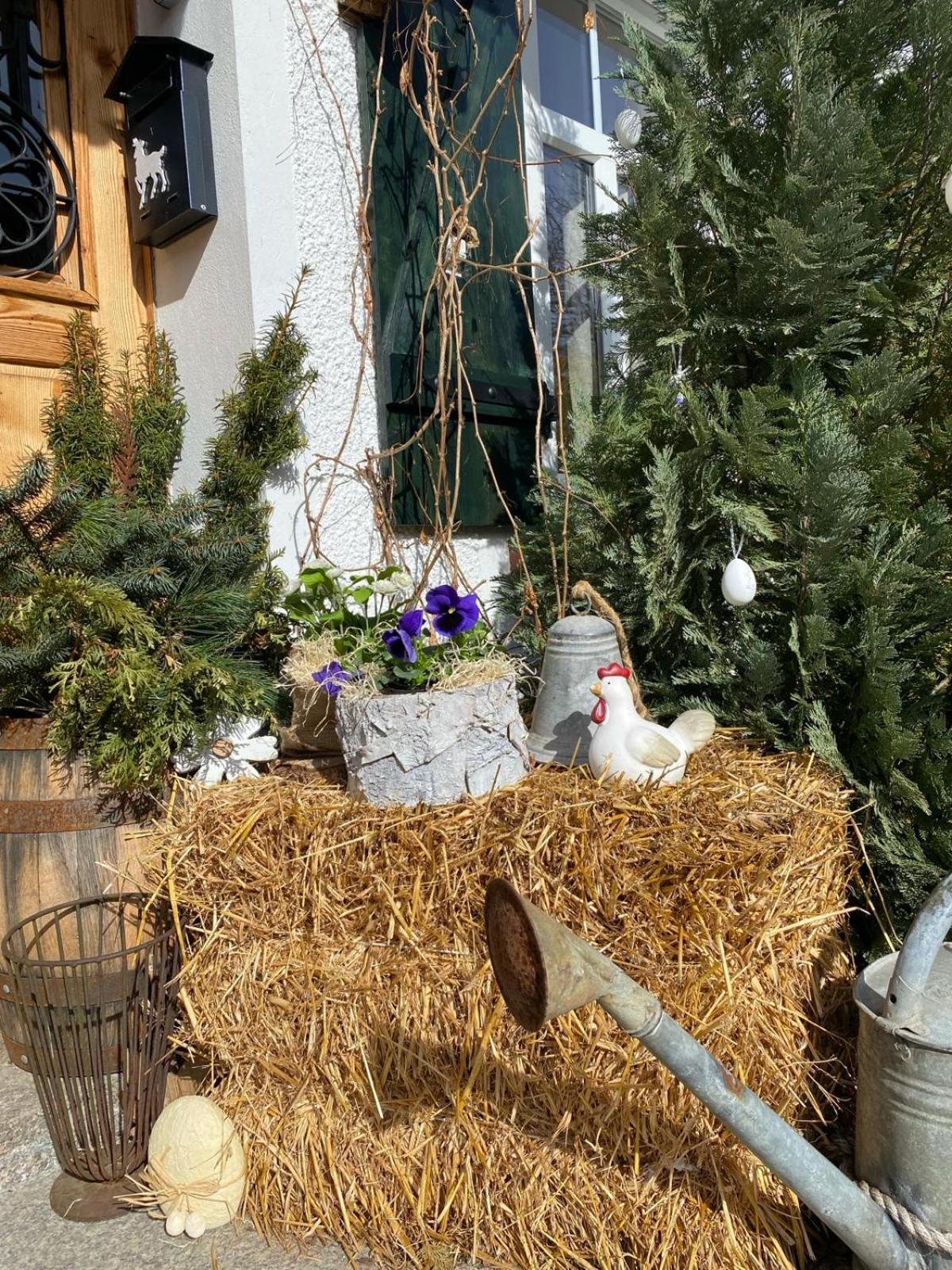 Apartamenty Sudeckie Nad Zalewem II Sosnówka エクステリア 写真